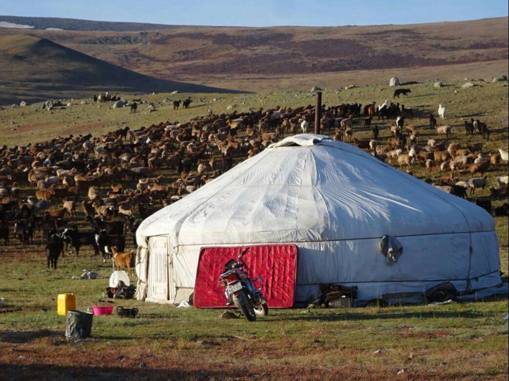Жайлаудағы малшы ауылы. Монғолияның Баянөлгей аймағы 