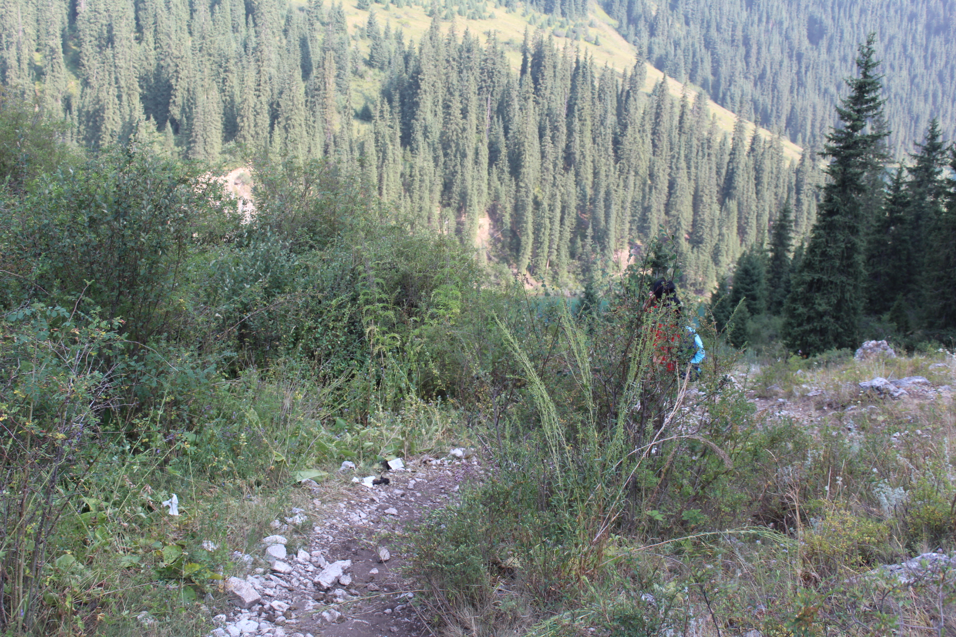 IMG_6460.JPG