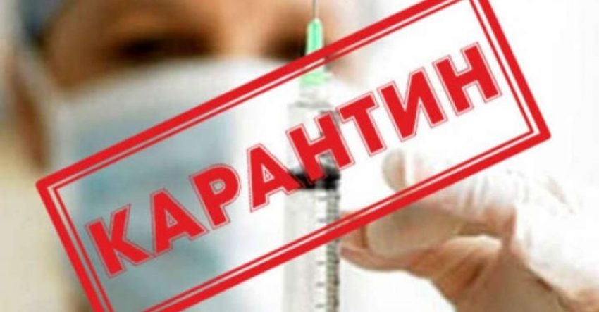 Қазақстанда карантин тәртібін енгізу туралы қаулы жобасы әзірленуде